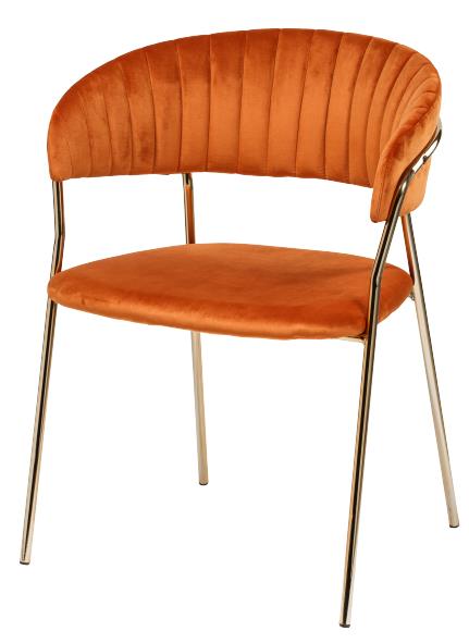 2019-01-03 13;48;47.JPEG