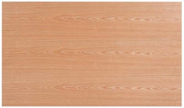 2020-03-10 11;40;10.JPEG