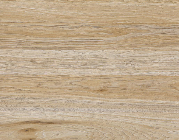 2021-08-24 13;43;44.JPEG