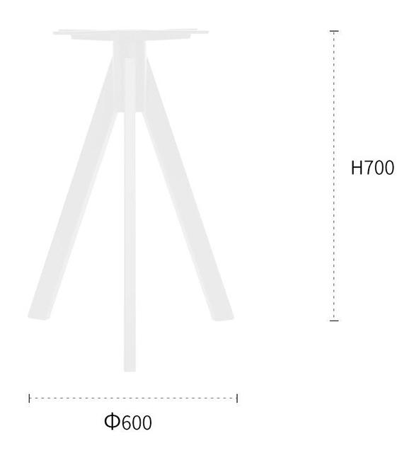 2022-02-18 17;45;50.JPEG