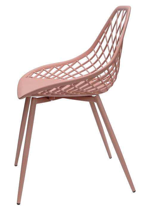 2022-03-04 11;07;51.JPEG