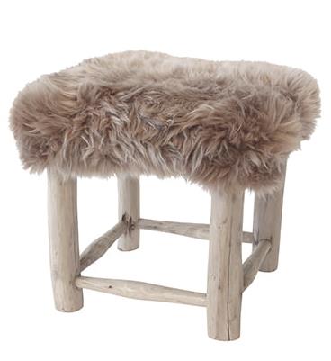 2023-01-16 14;51;50.JPEG