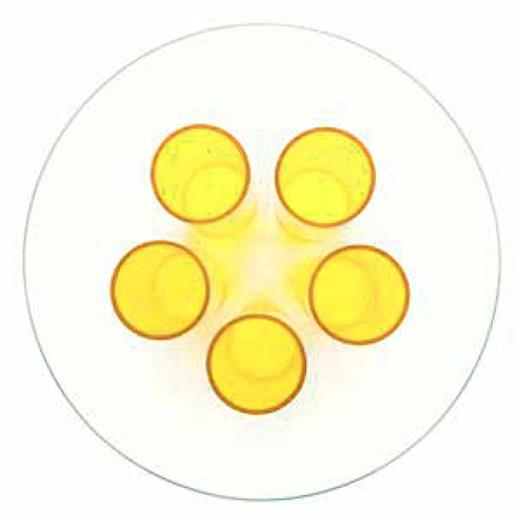 2023-01-19 10;35;30.JPEG