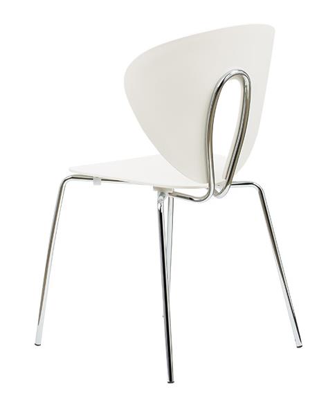 2023-07-27 11;24;48.JPEG