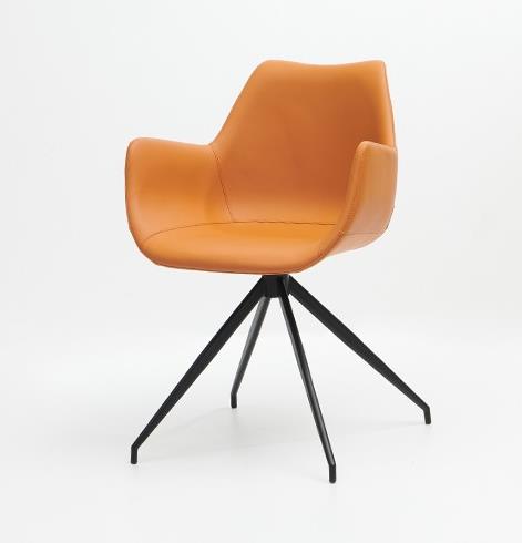 2023-10-11 14;31;30.JPEG