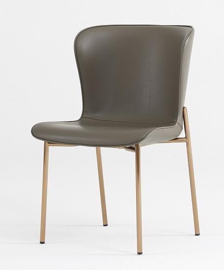 2024-07-15 11;43;26.JPEG