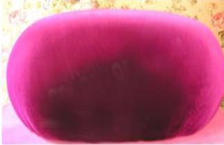 2024-12-06 15;29;20.JPEG