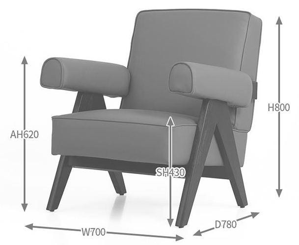 2025-02-26 17;11;29.JPEG